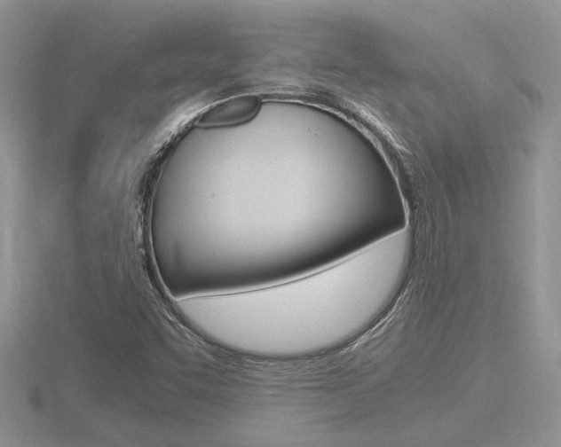 X0000116601455200912110929