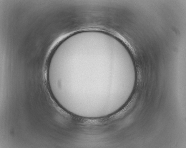 X0000116601462200912110929