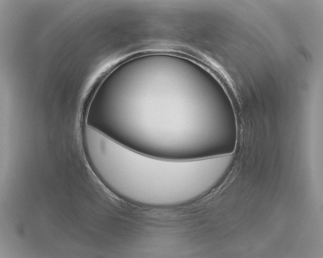 X0000116601464200912110929