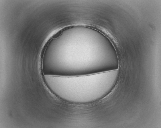 X0000116601469200912110929