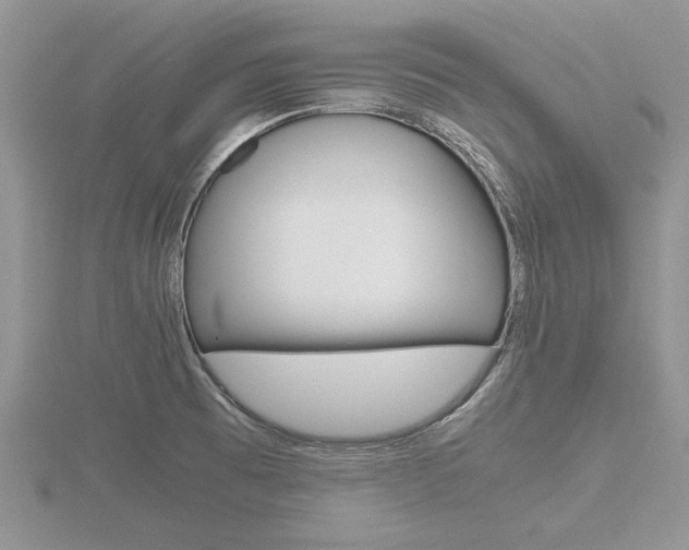 X0000116601473200912110929