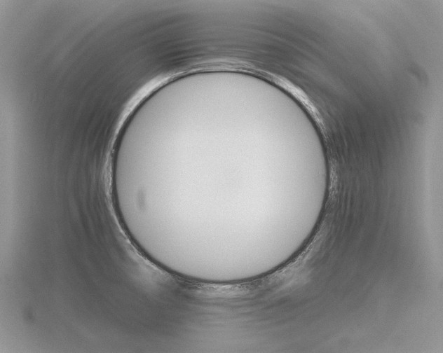 X0000116601474200912110929