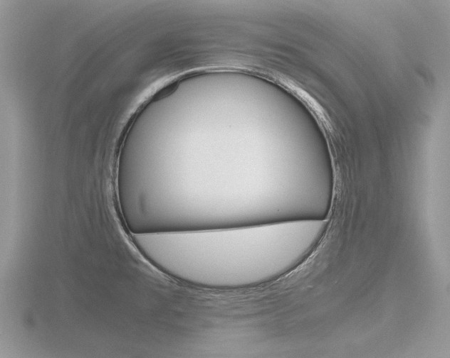 X0000116601477200912110929