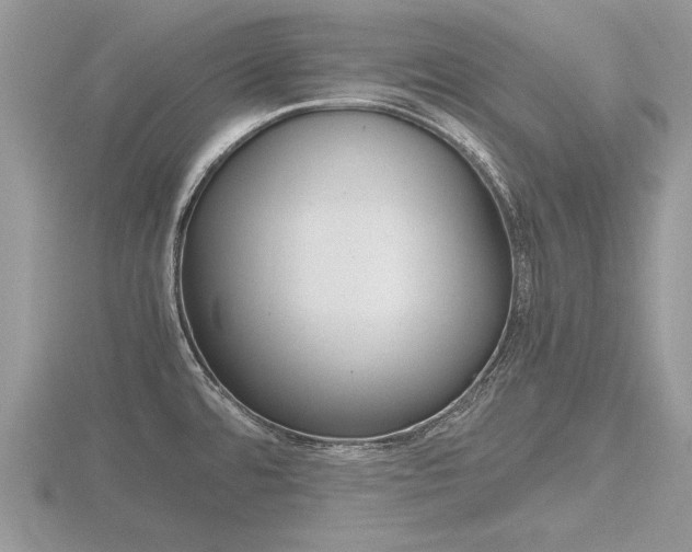 X0000116601480200912110929