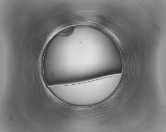 X0000116601483200912110929