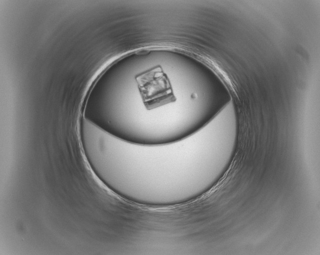 X0000116601484200912110929