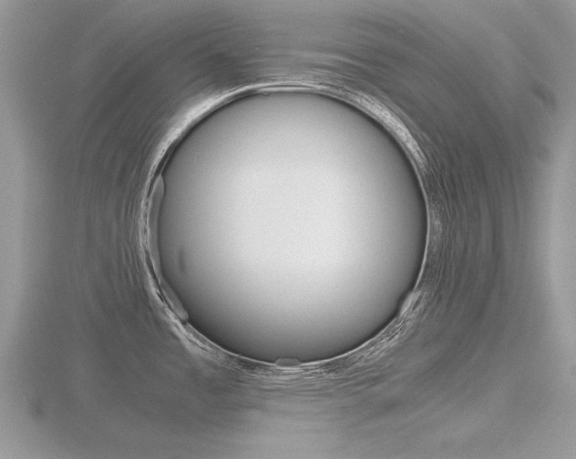 X0000116601485200912110929