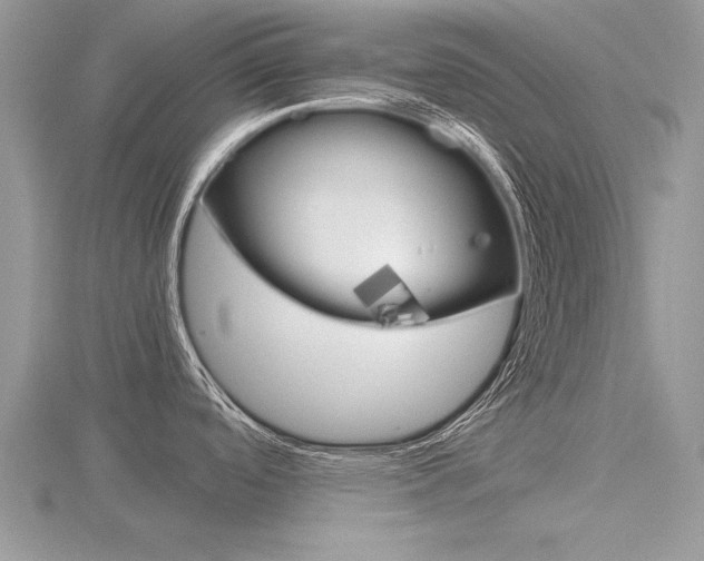 X0000116601488200912110929