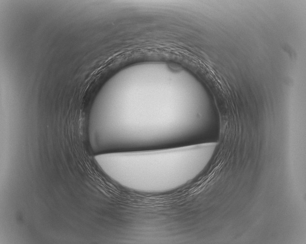 X0000116601490200912110928