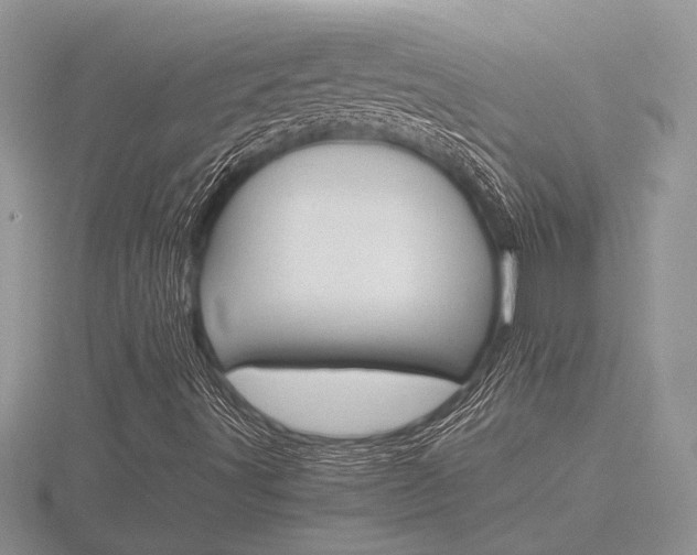 X0000116601491200912110928