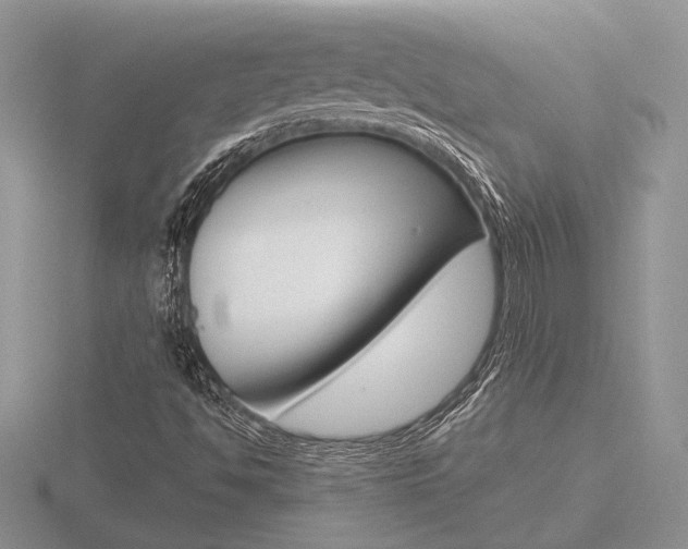 X0000116601494200912110929