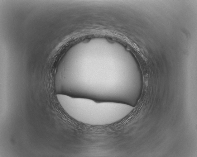 X0000116601495200912110929