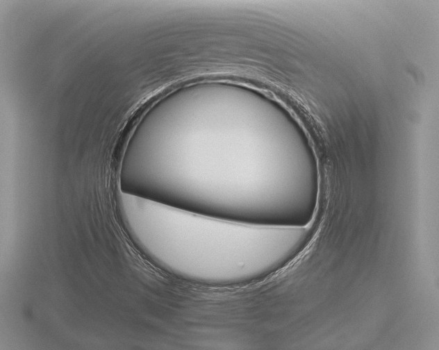 X0000116601497200912110929