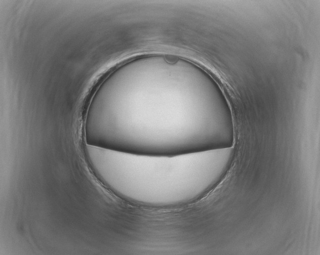 X0000116601507200912110929