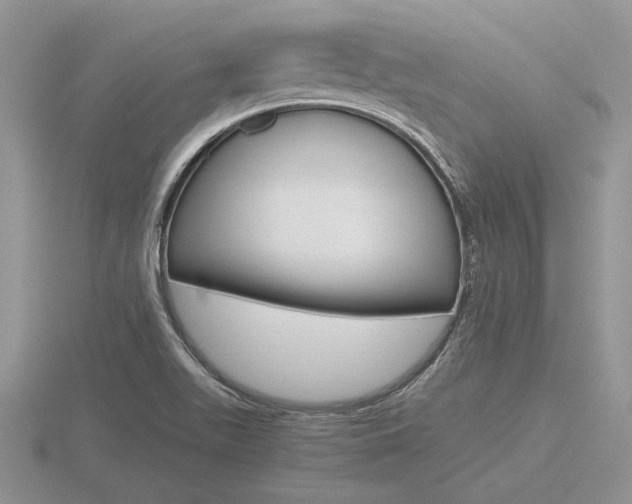 X0000116601511200912110929