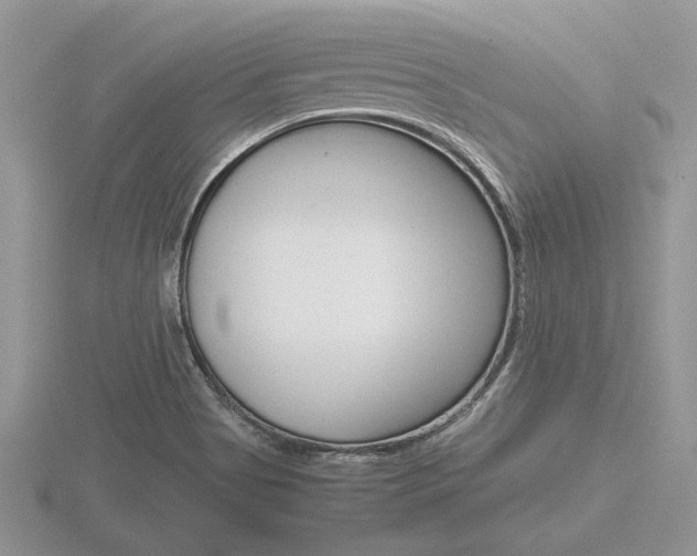 X0000116601513200912110929