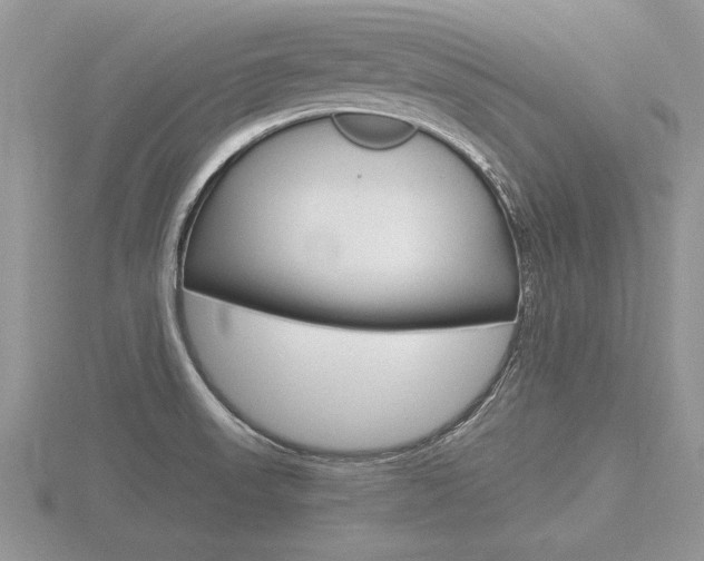 X0000116601523200912110929