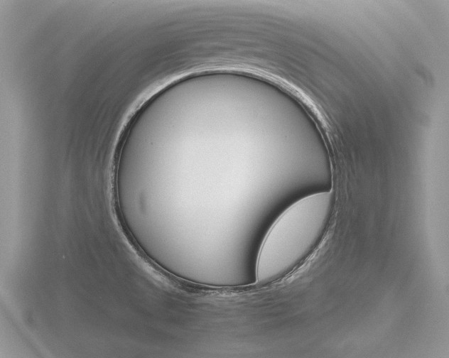 X0000116601525200912110929
