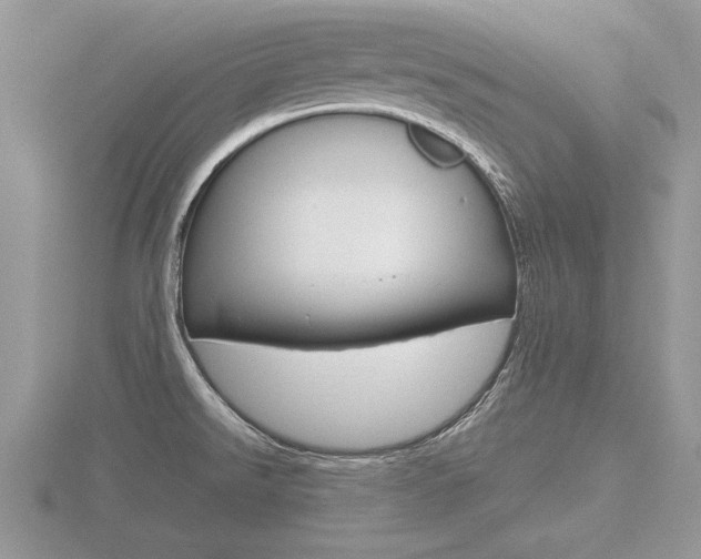 X0000116601526200912110929
