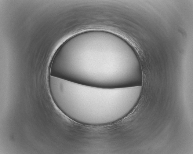 X0000116601527200912110929