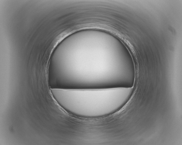 X0000116601529200912110929