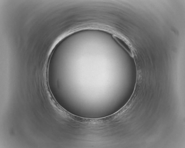 X0000116601530200912110929