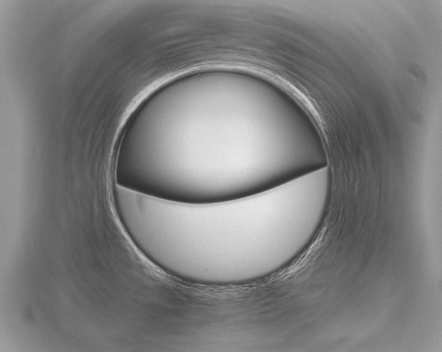 X0000116601533200912110929