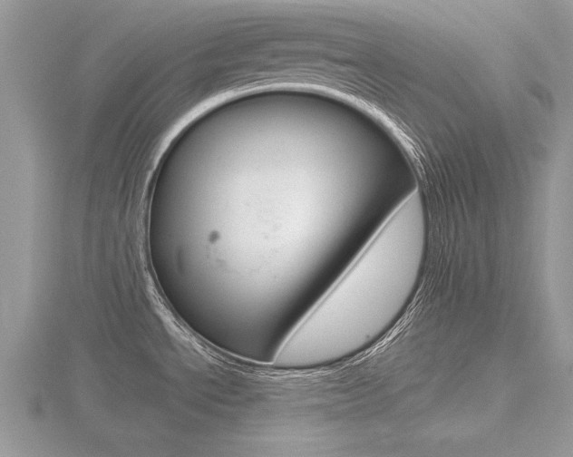 X0000116601534200912110929