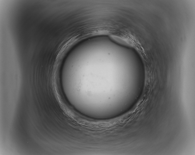 X0000116600001200912111123