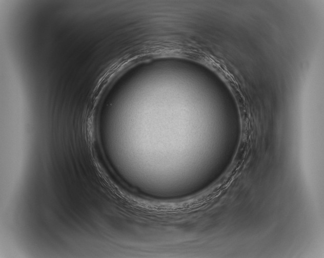 X0000116600002200912111123