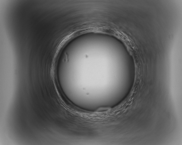 X0000116600003200912111123