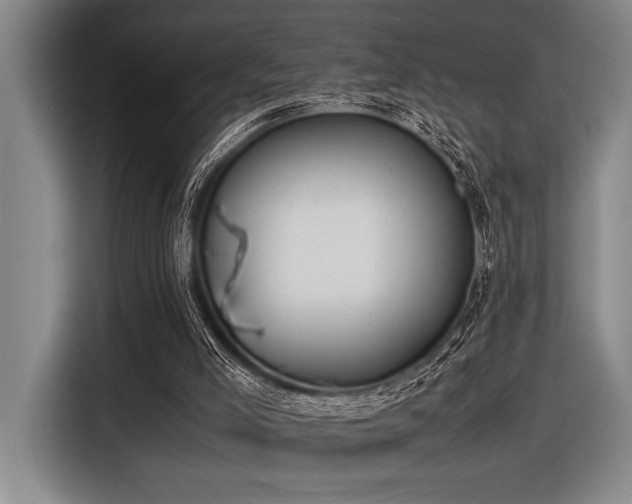 X0000116600005200912111123