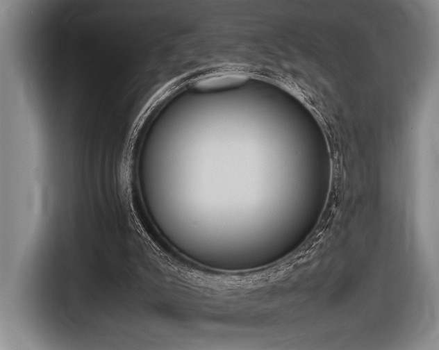 X0000116600007200912111123