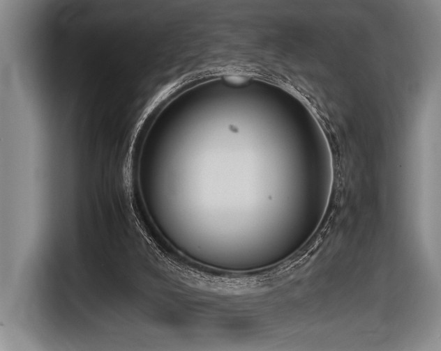 X0000116600008200912111123