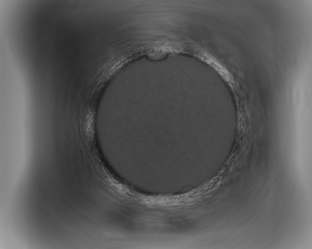X0000116600009200912111123