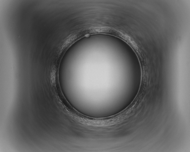X0000116600010200912111123