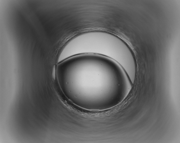 X0000116600013200912111123