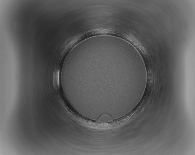 X0000116600014200912111123