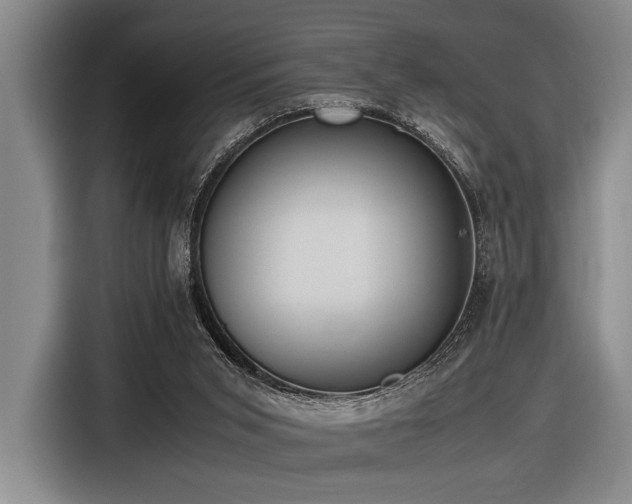 X0000116600015200912111123
