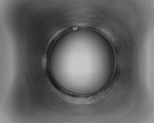 X0000116600016200912111123