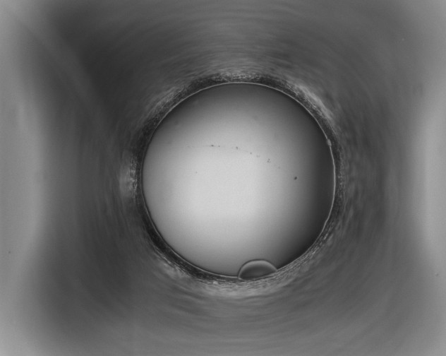 X0000116600017200912111123