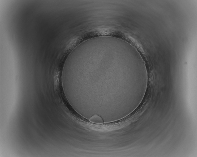 X0000116600018200912111123