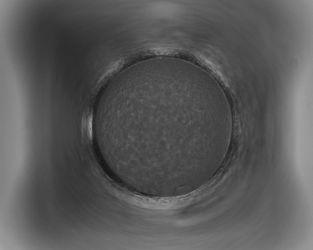 X0000116600019200912111123