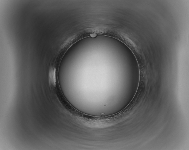 X0000116600020200912111123