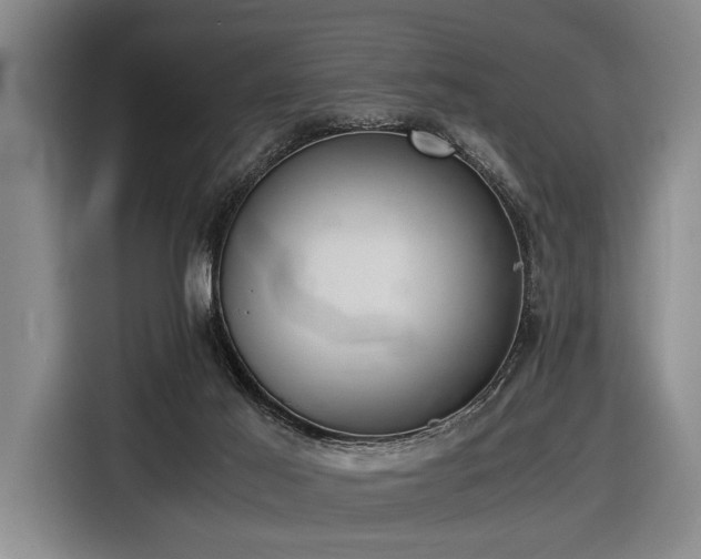 X0000116600021200912111123