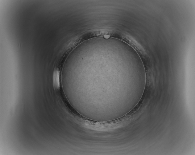 X0000116600022200912111123