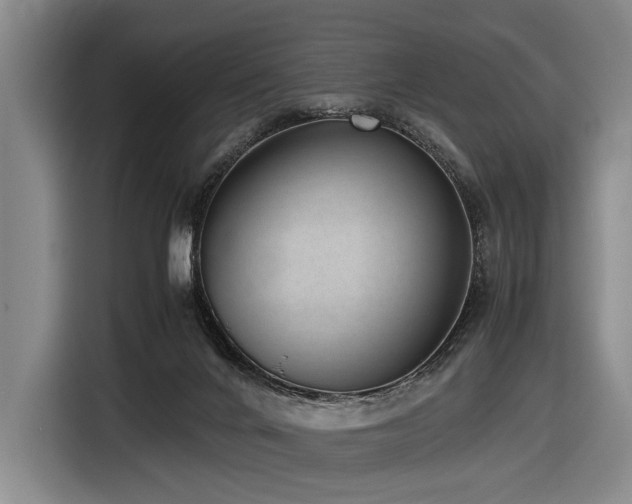 X0000116600024200912111123