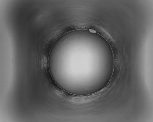 X0000116600025200912111123