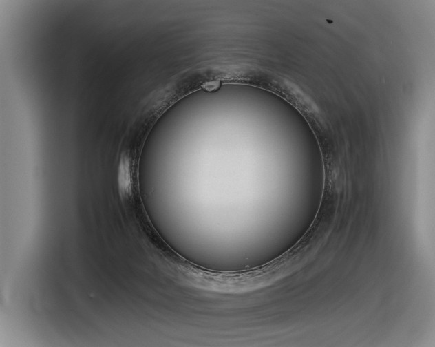 X0000116600026200912111123
