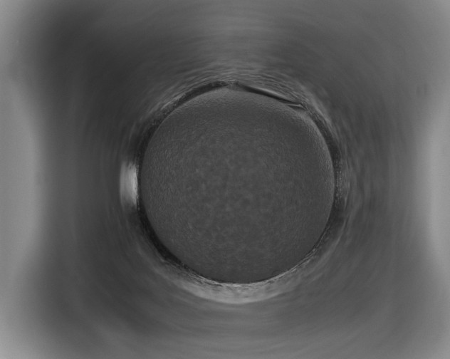 X0000116600027200912111123